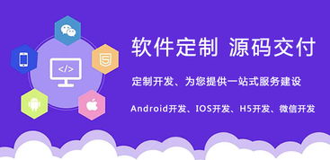 成都軟件開發(fā)公司怎么選擇