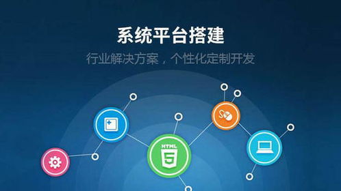 dok meta數(shù)字藏品系統(tǒng)開發(fā)